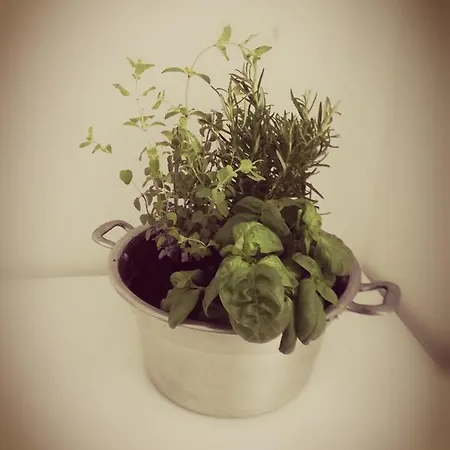 Da Zio Giovanni Appartement *