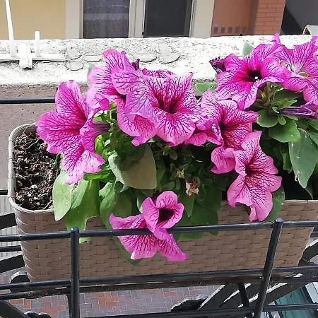 Da Zio Giovanni Apartamento