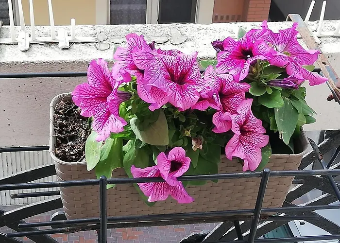 Da Zio Giovanni Appartamento