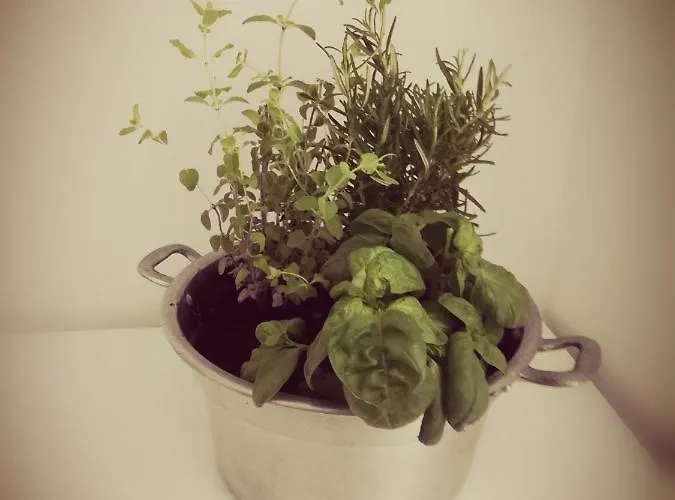 Da Zio Giovanni Appartamento *